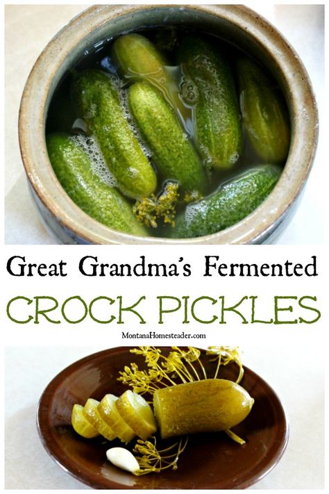 Crock Dill Pickles Recipe, Crock Pickles Recipes, Crock Pickles, Fermenting Pickles, Fermented Pickles Recipe, Fermented Dill Pickles, Elderberry Jelly, Chokecherry Jelly, Fermenting Crock