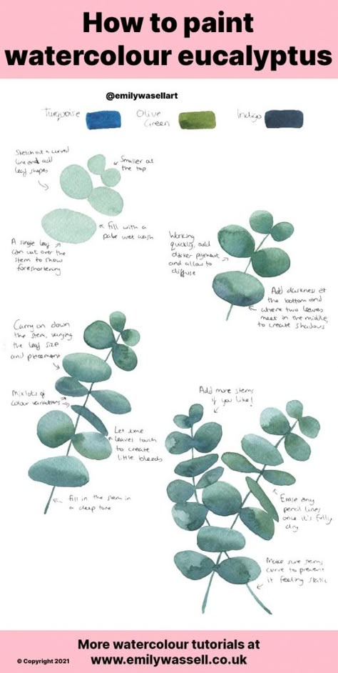 Paint Eucalyptus Leaves Acrylic, Watercolour Beginners Ideas, Watercolour Eucalyptus Leaves, How To Paint Eucalyptus Leaves, Painting Eucalyptus Leaves Acrylic, How To Paint Eucalyptus Leaves Acrylic, Watercolor Flowers Easy Step By Step, How To Draw Eucalyptus Leaves, Beginners Watercolour Ideas