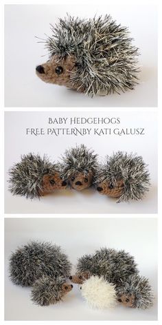 Eyelash Yarn Crochet, Crochet Hedgehog Pattern, Baby Hedgehogs, Hedgehog Pattern, Crochet Hedgehog, Crochet Toys Free, Baby Hedgehog, Animal Knitting Patterns, Eyelash Yarn