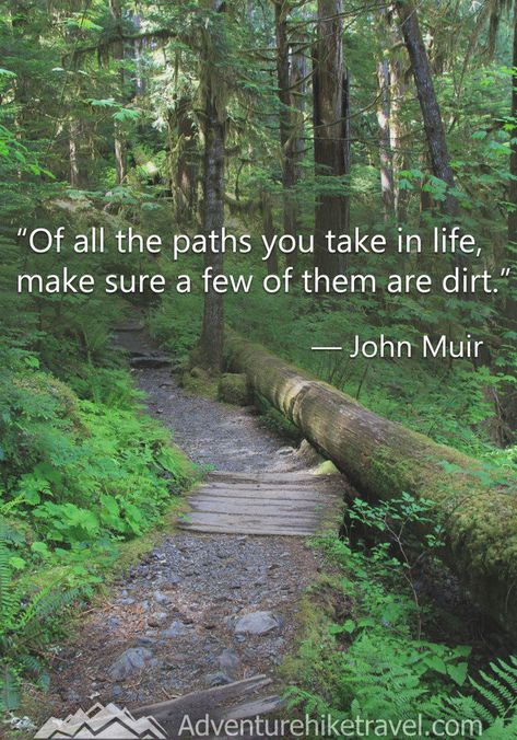 “Of all the paths you take in life, make sure a few of them are dirt.” – John Muir John Muir Quotes Nature, Wilderness Quotes, Plant Quotes, Environmental Quotes, Path Quotes, Park Quotes, Muir Beach, Nature Quotes Adventure, John Muir Quotes