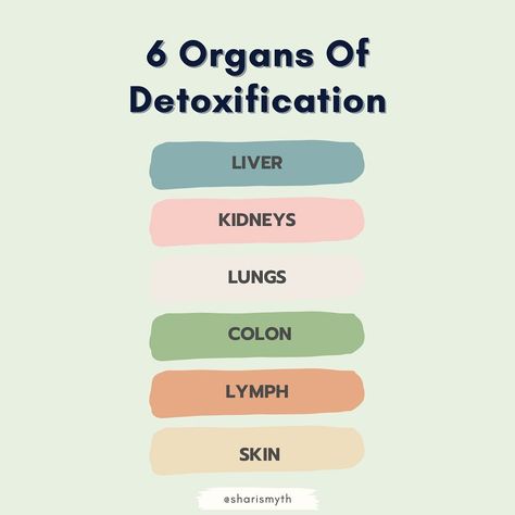 Do we really need to “detox”?? Let’s discuss! Our bodies have a complex system for breaking down and eliminating harmful substances and this process is at work 24/7. There are 6 primary organs that facilitate detoxification: 1️⃣ The Liver: The liver is our primary detox organ that processes toxins, metabolic waste products, drugs, and other harmful substances to make them safer for excretion. 2️⃣ The Kidneys: Among other essential functions, the kidneys filter our blood and send waste ... Liver And Kidney Flush, Kidney And Liver Detox Cleanse, Kidney Detoxification, Liver And Kidney Detox Juice, Where Are Your Kidneys Located, Internal Structure Of Kidney, Flatter Stomach, Liver Detoxification, Ways To Stay Healthy