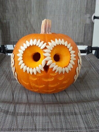 60 Best Pumpkin Carving ideas to make your Halloween 2019 special - Hike n Dip Easy Pumpkin Decorating, Pumkin Decoration, Cute Pumpkin Carving, Dekorasi Halloween, Owl Pumpkin, Pumkin Carving, Labu Halloween, Pumpkin Carving Contest, Halloween Decor Diy