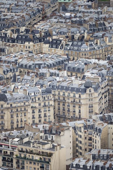 Walking In Paris, Paris Walking, Antique Architecture, Paris Rooftops, Paris Architecture, Luxembourg Gardens, India Map, French Architecture, The Seine