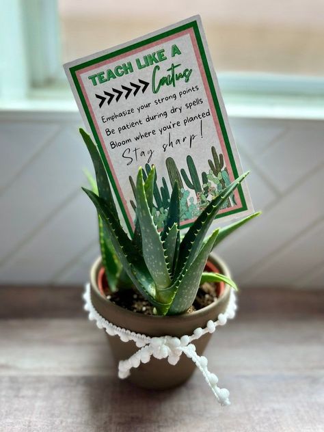 Succulents For Teacher Appreciation, Teacher Gift Plant, Cactus Teacher Appreciation, Cactus Teacher Gift, Plant Gift For Teacher, Plant Teacher Appreciation Gifts, Teacher Appreciation Plant Gifts, Teacher Plant Gift Ideas, Succulent Teacher Gift