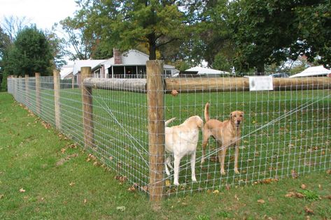 Woven wire fence installation in ranch house with acreage Pet Fence Ideas, Woven Wire Fence, Dog Yard Fence, Hog Wire Fence, Diy Dog Fence, Livestock Fence, Welded Wire Fence, Ranch Fencing, Field Fence