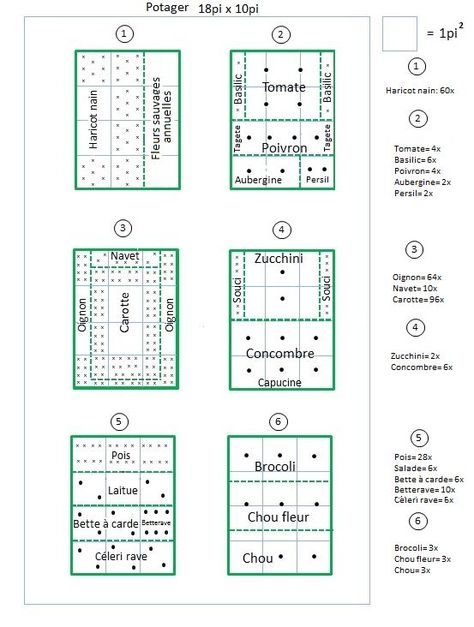 Plan de petit potager                                                                                                                                                                                 Plus Plan Potager, Small Vegetable Gardens, Vegetable Garden Planning, Vegetable Garden For Beginners, Garden Storage Shed, Potager Garden, Gardening Techniques, Square Foot Gardening, Vegetable Garden Design