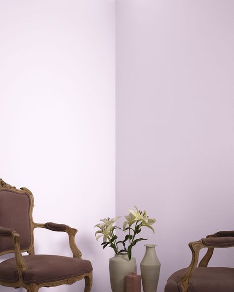 Best Purple Paint Colors, Benjamin Moore Shadow, Lilac Paint Color, Lilac Paint, Paint Color Swatches, Purple Paint Colors, Purple Painting, Benjamin Moore White, Touch Of Gray