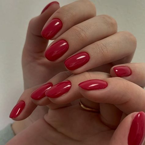 Red Russian Manicure, Pink Red Nails Short, Round Red Nails, Berry Nails, Shiny Nails Designs, Christmas Nails 2023, Hard Gel Nails, Golden Nails, Super Cute Nails