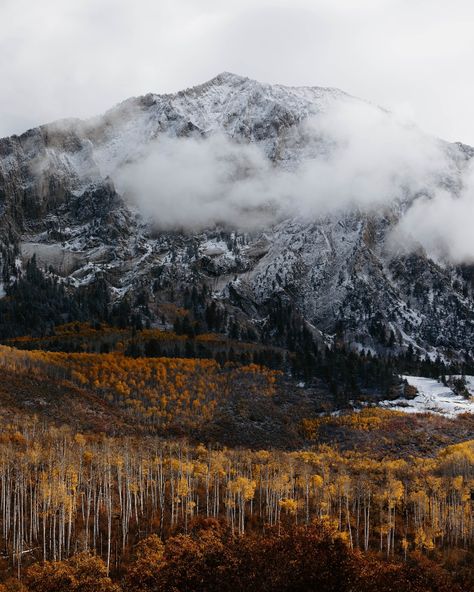 AUTUMN 🍁 from the east coast to the west coast 1. Stowe, Vermont 2. Kebler Pass, Colorado 3. Cambridge, Vermont 4. Maple Pass, North Cascades Washington 5. Quinault Rainforest, Washington 6. Maine 7. Utah 8. Stowe, Vermont 9. Acadia National Park, Maine 10. Conway, New Hampshire 11. Willamette Valley, Oregon 12. Stowe, Vermont 13. Glidden Point Oyster Farm, Maine 14. White Mountains, New Hampshire 15. Quinault Rainforest, Washington 16. Rockland, Maine Quinault Rainforest, Cascades Washington, Willamette Valley Oregon, Conway New Hampshire, White Mountains New Hampshire, Rockland Maine, Acadia National Park Maine, Stowe Vermont, Willamette Valley