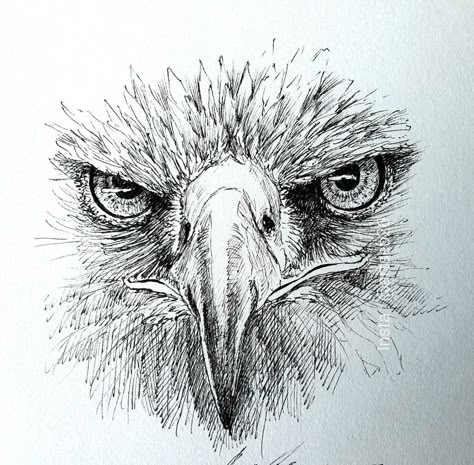 Animal Pen Sketch, Scribble Drawings, Pointalism Art, Biro Drawing, Eagle Artwork, Horse Art Drawing, Pen Doodles, Story Drawing, Acrylic Art Projects