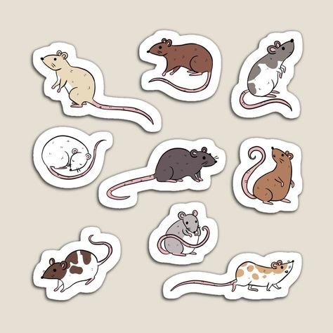 Get my art printed on awesome products. Support me at Redbubble #RBandME: https://www.redbubble.com/i/magnet/Cute-pet-rats-pack-for-rat-owner-by-Yarafantasyart/141729929.TBCTK?asc=u Rat Sticker, Stickers Ideas, Smash Journal, Rat Pack, Cute Rats, Acrylic Keychains, Pet Rats, Different Dogs, Cute Pet