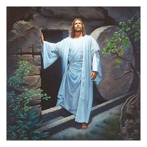 Images Of Christ, Pictures Of Christ, Jesus Christ Art, Pictures Of Jesus Christ, Jesus Wallpaper, Jesus Painting, Jesus Resurrection, Jesus Christ Images, Jesus Christus