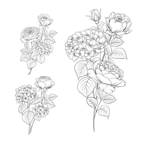 Set of line hand drawing hydrangea and r... | Free Vector #Freepik #freevector #flower #frame #vintage #floral Silly Tattoo Ideas, Bouquet Reference, Art Brushes Procreate, Kawaii Procreate, Hydrangea Tattoo, Floral Swags, Flower Line Art, Jelly Art, Bouquet Tattoo