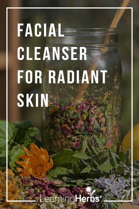 DIY Natural Facial Cleanser: Queen of Hungary Water Recipe – LearningHerbs Diy Face Cleanser, Diy Cleanser, Herbal Vinegar, Facial Recipe, Natural Facial Cleanser, Coconut Bowls, Mountain Rose Herbs, Organic Facial, Diy Facial