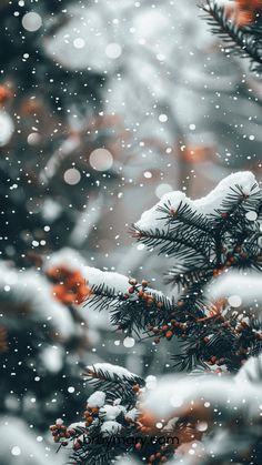 Winter Phone Backgrounds Wallpapers, Cute Christmas Wallpapers, Christmas Phone Wallpapers, Iphone Wallpaper Winter, Christmas Tree Wallpaper, Christmas Landscape, Christmas Wallpapers, Christmas Phone Wallpaper, Cute Christmas Wallpaper