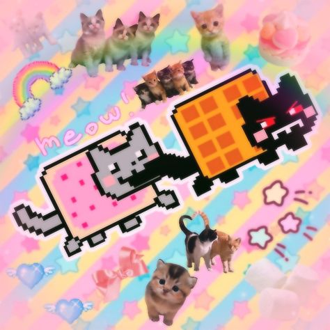 Nyan Cat Matching Pfps, Nyan Cat And Tac Nyan, Nyan Cat Pfp, Tac Nyan, Tac Nayn, Nya Cat, Nyan Nyan, Neon Cat, Cat Skin