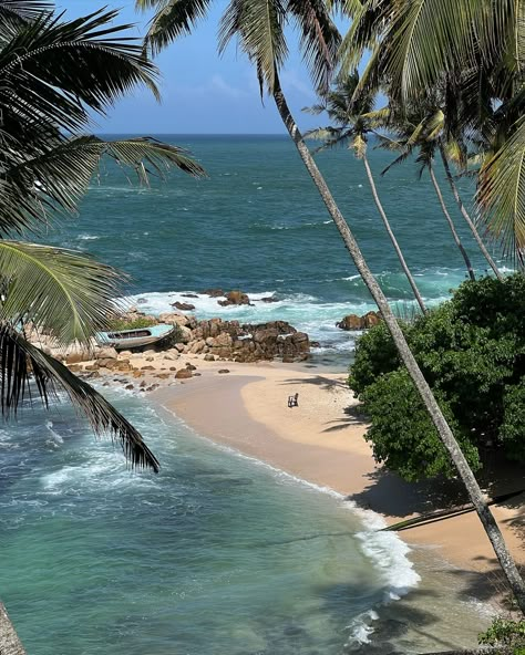 palm tree swim bikini crystal blue water on beach in Mirissa secret beach Sri Lanka Sri Lanka Aesthetic, Mirissa Beach, Mirissa Sri Lanka, Life Core, Sri Lanka Beach, Coastal Life, Secret Beach, Winning The Lottery, Dream Lifestyle