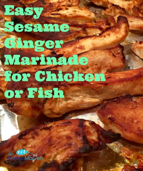 Easy Sesame Ginger Marinade for Chicken or Fish | The Mama Maven Blog @themamamaven Ginger Soy Marinade, Asian Marinade For Chicken, Garlic Chicken Marinade, Ginger Marinade, Soy Sauce Rice, Marinade For Chicken, Fish Marinade, Toasted Sesame Oil, Garlic Marinade