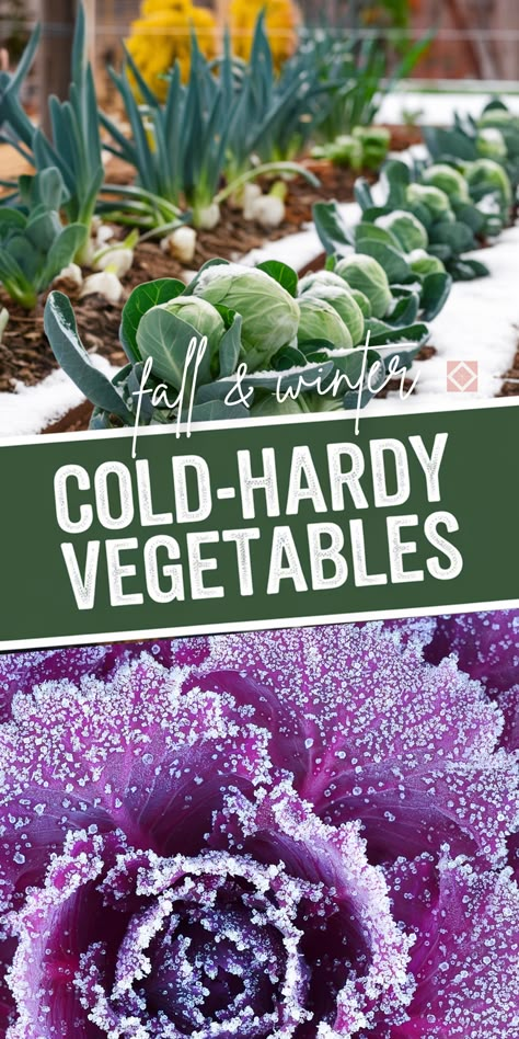 Don’t let winter stop your gardening journey! Check out these 25 frost-hardy veggies that are perfect for cold-weather gardening. From greens to root veggies, these plants don’t just survive but thrive in chilly climates, making them ideal for winter gardeners. Our list covers the hardiest vegetables that keep your garden alive, even when frost hits. Save this pin to make your garden winter-ready with the best cold-tolerant crops for your outdoor space! Cold Weather Plants, Growing Winter Vegetables, Veggies To Grow, Gardening Essentials, Winter Veggies, Winter Greenhouse, Winter Vegetables Gardening, Vegetables To Grow, Winter Gardening