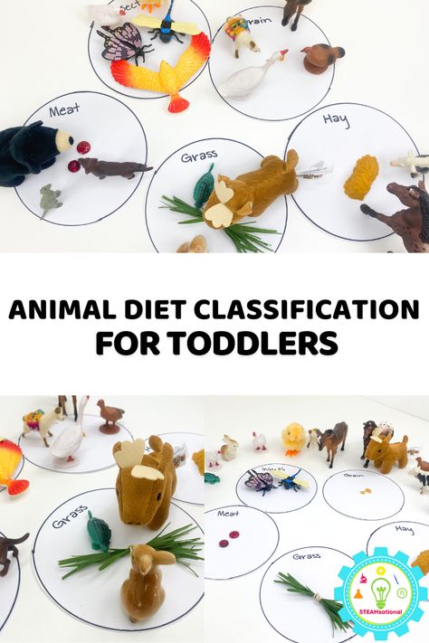 Animal Diet Classification STEM Challenge for Preschoolers What Animals Eat Activities, What Do Animals Eat Activities, Classification Activities Preschool, Activies For Kids, Animal Diet, Abc Flashcards Printable, Animal Eating, Stem Activities Preschool, Diy Kid Activities