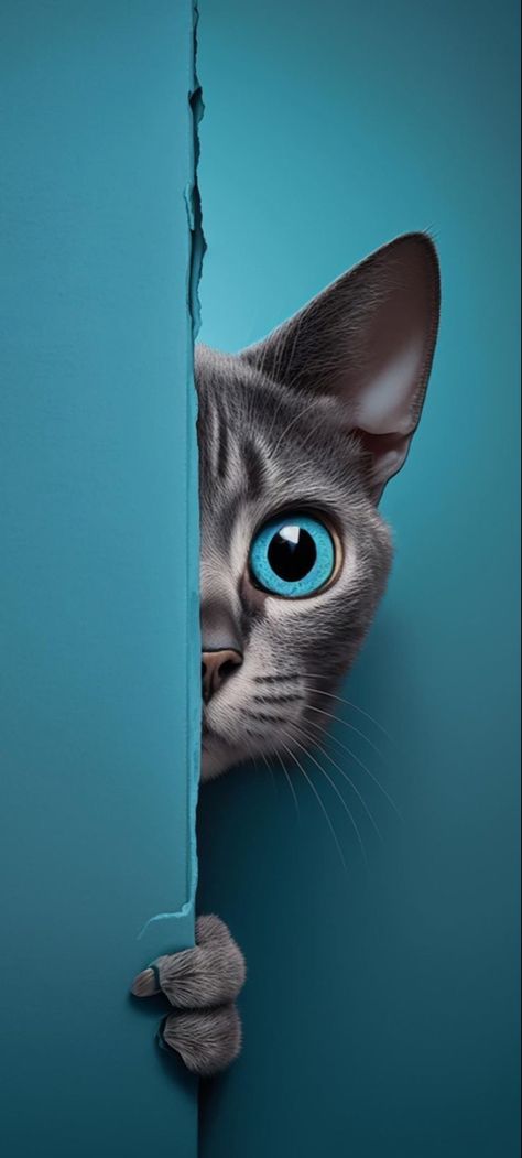 Cat Phone Wallpaper, الفن الرقمي, Image Moto, Eagle Wallpaper, Iphone Dynamic Wallpaper, Iphone Wallpaper Stills, 강아지 그림, Iphone Wallpaper Hd Nature, Phone Wallpaper Images