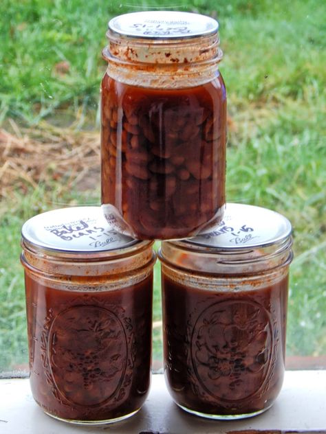 Canning Baked Beans, Canning Beans, Canning Water, High Acid Foods, Canned Baked Beans, Canning Salt, Pressure Canning Recipes, Homemade Baked Beans, Low Acid Recipes