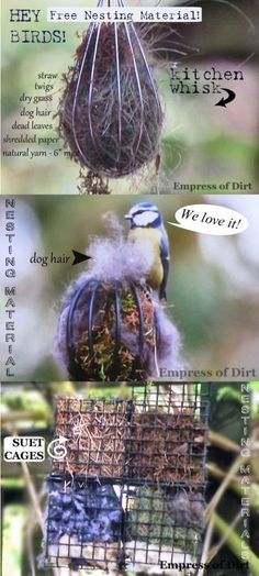 Offer safe nesting materials for birds - it's fun to watch and they may nest near your garden Garlic Growing, Singapore Airport, Plastic Garden, Number Signs, Diy Birds, Wildlife Gardening, School Garden, How To Attract Birds, English House