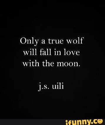 Wolf Quote, In Love With The Moon, Moon Room, Wolf And Moon, Beautiful Wolf, Tattoo Wolf, Image Positive, Quotes Pinterest, Moon Quotes