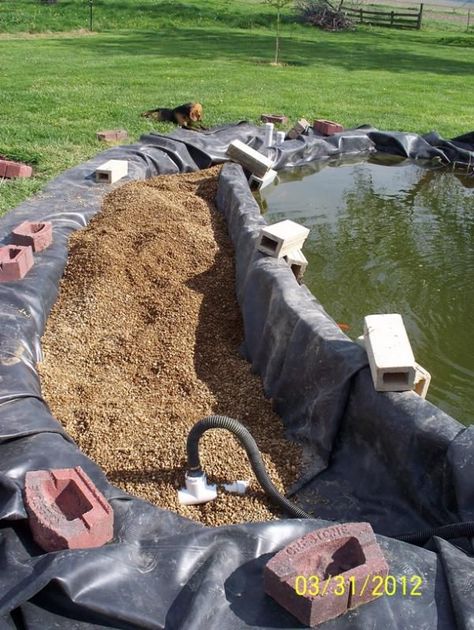 I have two wells, so used them to flush and clean the gravel, which worked really well, since I could drain the water out of the bog, and not into the pond. Bog Pond Filter, Wetland Filter Pond, Pond Bog Filter Diy, Bog Filters For Ponds Diy, Bog Filters For Ponds, Bog Filter, Catfish Pond, Nature Pool, Diy Ponds Backyard