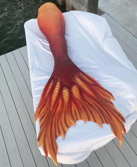 Mermaid Tails Aesthetic, H2o Shifting, Orange Mermaid Tail, Mermaid Tail Aesthetic, Red Mermaid Tail, Gold Mermaid Tail, Realistic Mermaid Tails, Orange Mermaid, Professional Mermaid