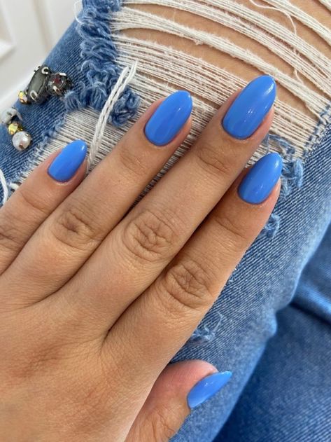 Plain Nail Inspo Almond, Poolside Blue Nails, Blue Round Acrylic Nails, Blue Nails Solid Color, Azure Blue Nails, Short Round Blue Nails, Pastel Blue Nails Almond, Blue Oval Acrylic Nails, Blue Nails Solid