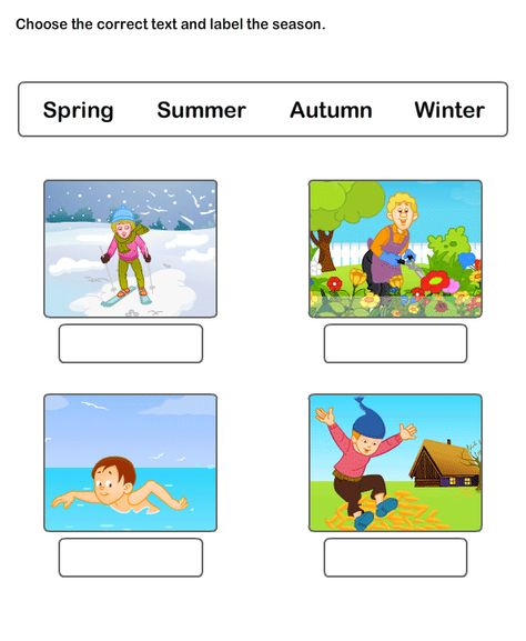 Seasons Worksheet 4 - science Worksheets - kindergarten Worksheets Seasons Kindergarten, Seasons Lessons, Seasons Worksheets, Weather Worksheets, Seasons Activities, 2nd Grade Worksheets, English Worksheets For Kids, Kindergarten Science, 1st Grade Worksheets