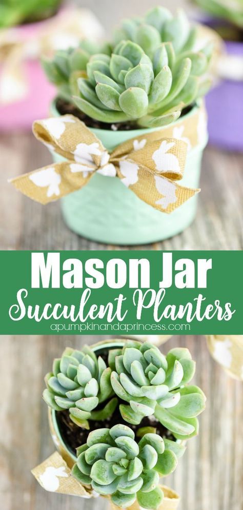 How to make mason jar succulent planters. Learn how to make easy succulent pots out of mason jars. This is an easy craft that looks great. #masonjarcraft #succulent Mason Jar Succulents, Succulent Diy, Diy Hanging Shelves, Diy Mason Jar, Succulent Planters, Wine Bottle Diy Crafts, Mason Jar Crafts Diy, Wine Bottle Diy, Mason Jar Lighting