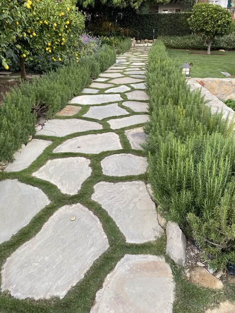 Pavers Backyard Landscaping Ideas, Entry Pergola, Stepping Stone Walkway, Front Garden Path, Palm Springs Garden, Lawn Garden Ideas, Stepping Stone Ideas, Front Yard Makeover, Stepping Stone Walkways