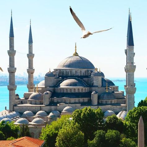 Blue Mosque Painting, Turkey Blue Mosque, Blue Mosque Turkey, Most Beautiful Mosques, Sultan Ahmed Mosque, Blue Mosque Istanbul, The Blue Mosque, Second Dress, Istanbul Photography