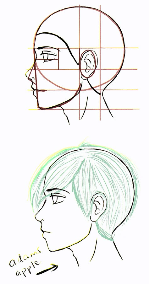 Manga Tips, Side Face Drawing, Face Illustrations, Manga References, Drawing Tut, Side View Drawing, Manga Reference, Drawing Help, Profile Drawing