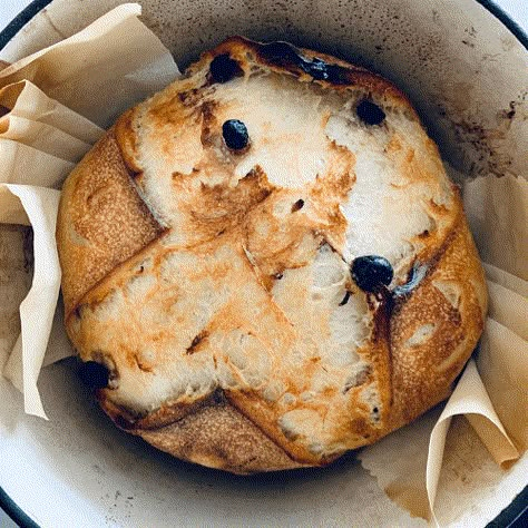 Olive Sourdough Bread, Rosemary Sourdough, Rosemary Bread, Sourdough Starter Recipes, Olive Bread, Discard Recipe, Sourdough Starter Discard Recipe, Sourdough Starter Discard, Starter Recipe