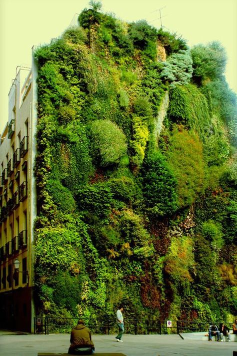 Vertical garden in Madrid, Spain - Imgur Kolam Koi, Vertical Gardening, Vertical Gardens, Walled Garden, Green Architecture, Earthship, Living Wall, Green Wall, Vertical Garden