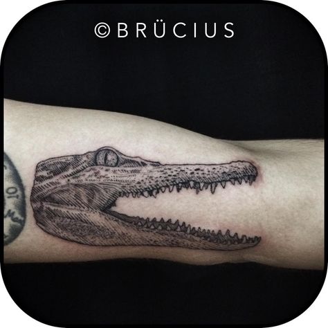 Alligator Head Tattoo, Alligator Head, San Francisco Tattoo, Etching Tattoo, Woodcut Tattoo, Head Tattoo, Cross Hatching, Line Work Tattoo, Head Tattoos