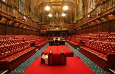 Peers question effectiveness of government volunteering programmes House Of Lords, House Of Commons, Church Of England, London House, London Tours, Houses Of Parliament, Westminster Abbey, British History, Buckingham Palace