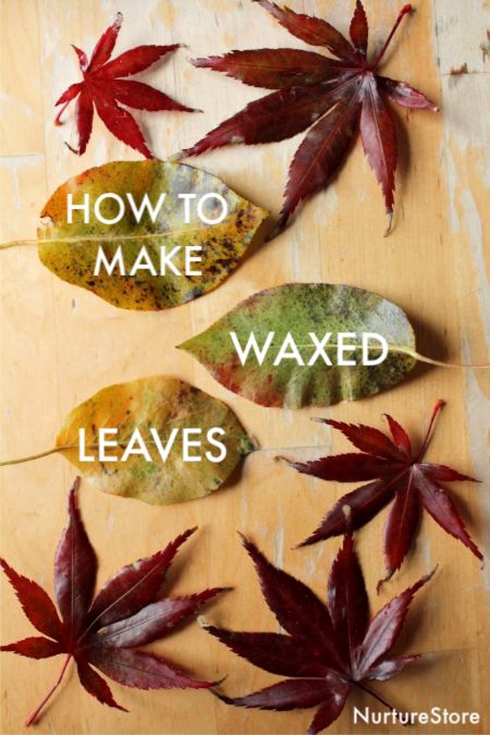 Wax Leaves Fall Crafts, Leaf Crafts For Adults, Nature Crafts For Adults, Nature Crafts For Adults Diy, Autumn Crafts For Adults, Autumn Leaf Crafts, Waxed Leaves, Preserving Leaves, How To Preserve Leaves