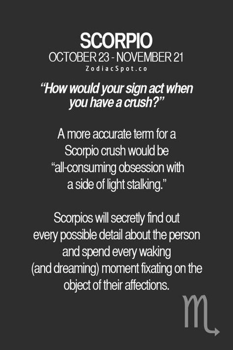 How Would Scorpio Act When They Have a Crush? | Scorpio Quotes All About Scorpio, Quotes Sassy, Zodiac Quotes Scorpio, Astrology Scorpio, Scorpio Traits, The Scorpions, Scorpio Girl, Scorpio Love, Scorpio Zodiac Facts