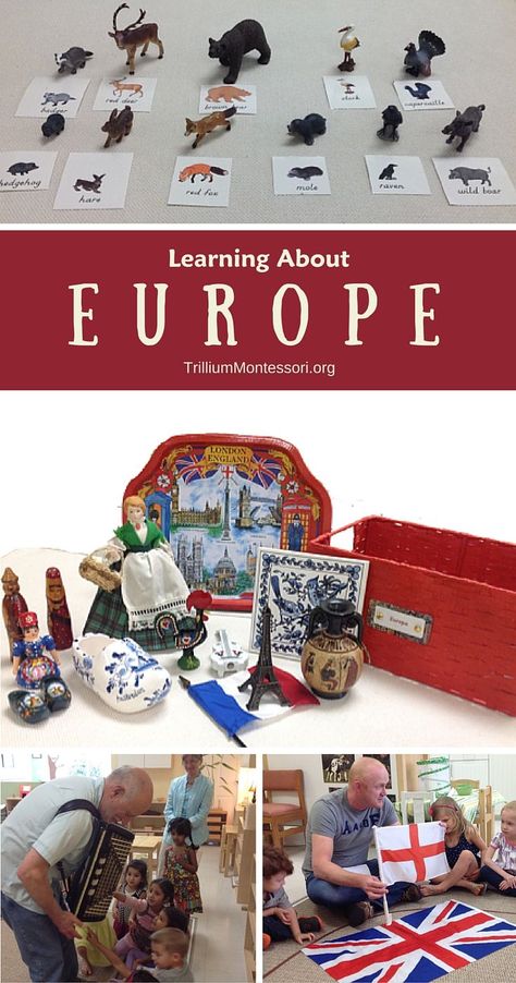 Montessori activities for learning About Europe Montessori Elementary Classroom, Continent Boxes, Continents Activities, Multicultural Activities, Montessori Curriculum, Weekly Themes, Montessori Geography, Montessori Cards, Geography Activities