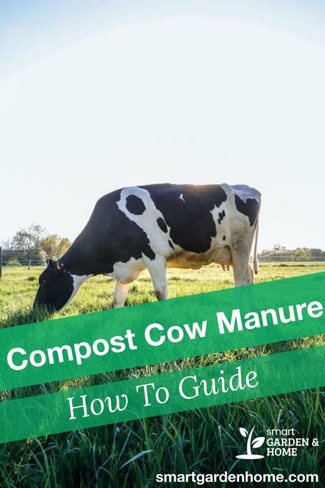 Animal Waste Compost, Cow Manure Compost, Manure Compost Bin, Cow Patties, Gardening Gadgets, Manure Composting, Tomato Fertilizer, Modern Gardening, Compost Bin Diy