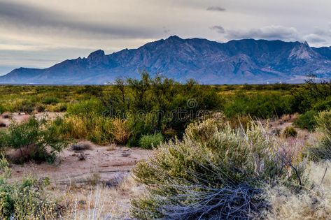 West Texas Landscape, Landscape Desert, Texas Landscape, Texas Destinations, Photos Black And White, Desert Area, Plant Images, Southwest Desert, West Texas