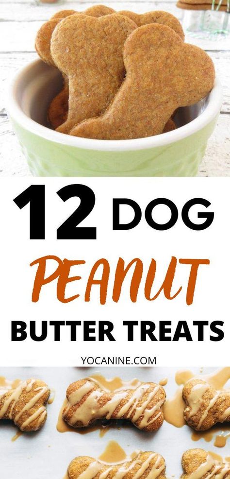 These peanut butter dog treats homemade easy are the perfect dog treats homemade easy idea for dog moms. dog treats homemade recipes, Dog Treats Recipes, dog treats homemade peanut butter, dog treat recipes for silicone molds, Diy dog treats easy #dogtreats #dogmoms #dogrecipes #homemadedogtreats #yocanine Dog Treat Recipes Peanut Butter, Recipes For Silicone Molds, Dog Treat Recipes For Silicone Molds, Diy Dog Treats Easy, Dog Treats With Peanut Butter, Dog Treats Homemade Peanut Butter, Treats With Peanut Butter, Make Dog Treats, Dog Treats Homemade