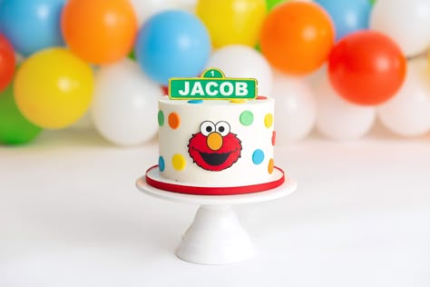 Smash Cakes Clearwater florida - Cuppa Cake Bakery-Wedding and Birthday Custom Cakes and Cupcakes in Clearwater Florida Sesame Street Smash Cake, Elmo Cake Smash, 1st Birthday Sesame Street, Elmo Smash Cake, Elmo Cakes, Cuppa Cake, Sesame Street Birthday Cakes, Elmo Birthday Cake, Elmo First Birthday