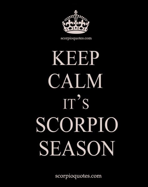 16 SCORPIO SEASON MEME ECARDS: #1 It's Scorpio Season. Hide ya kids, hide ya wife! #2 Keep Calm Cause I'm an October Baby. #3 Keep Calm November Babies Rock! #4 Scorpio Season, Is that you playa? November My Favorite Month, November Birthday Month Quotes, Scorpio Season Quotes, November Born Quotes, Scorpio Month, Scorpio Season Is Here, Bday Status, November Birthday Quotes, October Scorpio