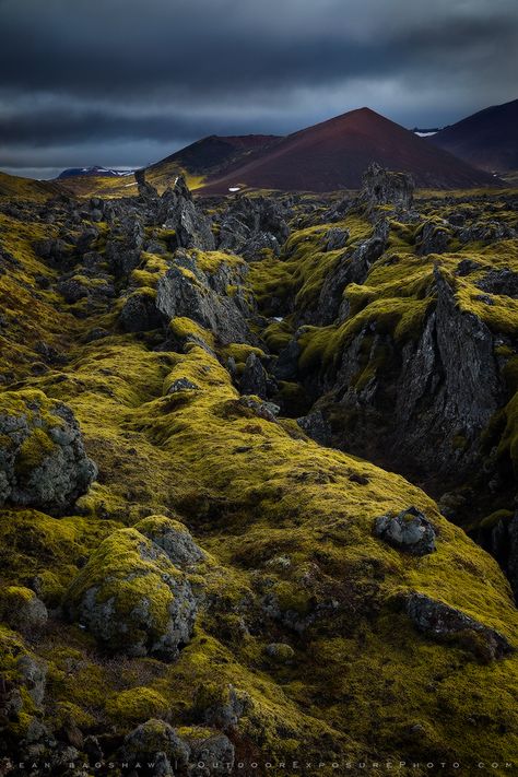 LAVA AND MOSS   In Iceland the sharp lava is typically carpeted in a thick layer of plush Iceland Moss, which is actually a lichen. It interacts with light in ways that make it appear to glow, a common feature in the surreal landscape photos you see from Iceland. I was captivated by its cartoonish luminosity and texture, as well as how it contrasted with the red volcanic soil.  I took this photo from a dirt road that winds its way through this large lava flow. Remember to always tread lightly! Iceland Scenery Landscapes, Iceland Lava, Earth Genasi, Icelandic Landscape, Volcanic Landscape, Black Soil, Tread Lightly, Surreal Landscape, Miniature Bases