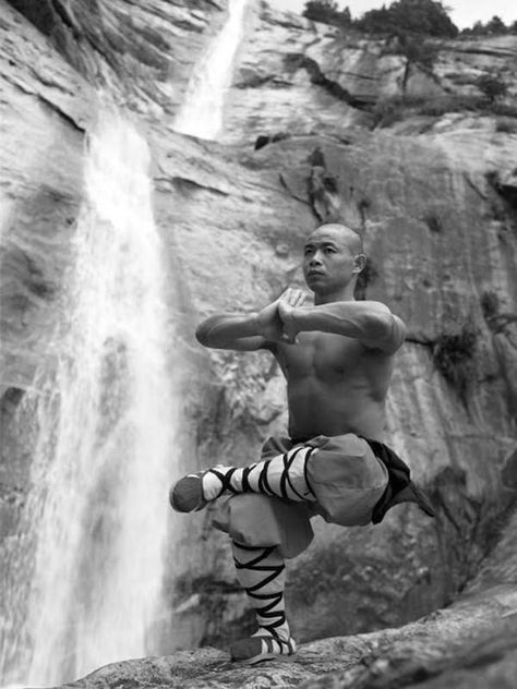 Crossfit Images, Shaolin Monastery, Qigong Exercises, Gym Images, Arte Yoga, Shaolin Monks, Shaolin Kung Fu, Pencak Silat, Qi Gong